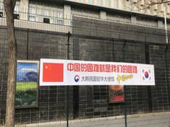 
      
      Senior Chinese diplomat talks with S Korean NSA
      
      