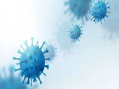 
      
      5 more cases of Omicron reported in New York
      
      