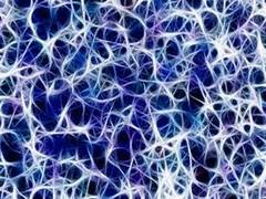 
      
      Protein produced by nervous system may help treatments for...
      
      