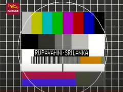 
      
      Sri Lanka's national broadcaster goes off air
      
      