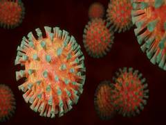 
      
      Study finds immune memory less durable post severe COVID
      
      
