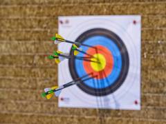 
      
      World Archery Youth C'Ship: India defeat Turkey in Compound...
      
      