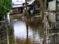 
      
      Despite receding water, rural Assam yet to see relief
      
      