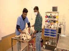 
      
      After losing his dog, Gujarat man opens India's first...
      
      
