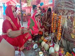
      
      Women take holy dip in River Ganga, offer prayers to banyan...
      
      