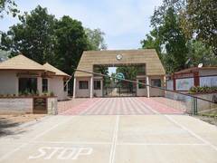 
      
      MP: Closure of Pench National Park due to COVID-19 affects many
      
      