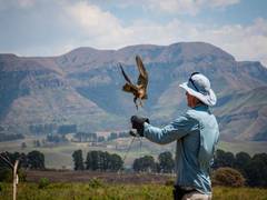 
    Study suggests more 'fairness' required in conservation
    