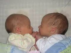 
      
      Multiple-birth families need support to improve outcomes: Study
      
      