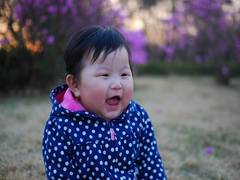 
    Overweight pre-school children at higher risk of bone fracture
    