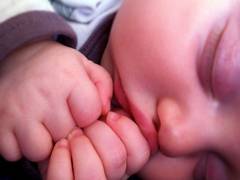 
      
      Eczema in infants makes them susceptible to food allergy, hay...
      
      