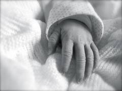 
      
      Woman carries dying baby to term to donate her organs
      
      
