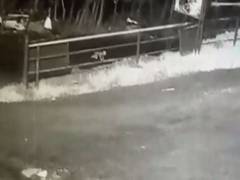 
      
      Kerala: 1-year-old survives after falling out of speeding vehicle
      
      