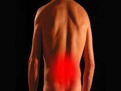 
      
      Study links lower back pain, soft tissue destruction
      
      