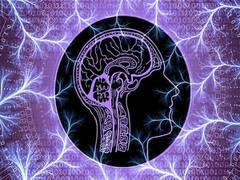 
      
      Anabolic androgenic steroids accelerate brain ageing, reveals...
      
      