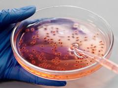 
      
      To treat infections, visible light activates molecular machinery
      
      