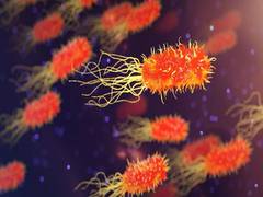 
      
      New study finds if bacteria confound genetic switch
      
      