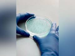 
      
      Scientists discover new type of 'plastic-loving bacteria'
      
      