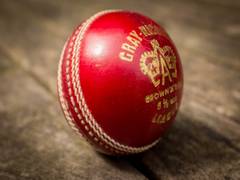 
      
      Umpires don't let bowlers use too much saliva these days:...
      
      