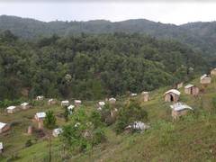 
    Manipur village set up quarantine bamboo huts for returnees
    