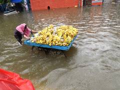 
      
      IMD predicts heavy rainfall over East Rajasthan, West MP
      
      