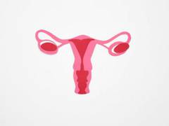 
      
      Study finds ovarian cancer therapy boosted by drug that slows...
      
      