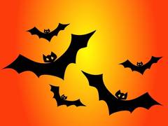 
      
      Vampire bats practise social distancing when they get sick
      
      