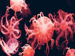 
      
      Study uncovers connection between intestinal microorganisms,...
      
      