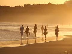 
      
      Short, frequent walks near water bodies can benefit mental...
      
      
