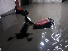 
      
      Maha: Heavy rainfall leaves Beed roads flooded, IMD issues alert
      
      