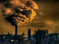 
      
      New study confirms relationship between toxic pollution,...
      
      