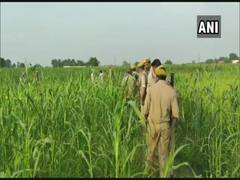 
      
      Minor girl's body found in a field in UP's Bhadohi
      
      
