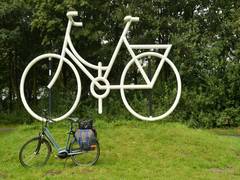
      
      Study links cycling to work with higher risk of...
      
      