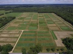 
      
      Biofuels can greatly reduce carbon emissions: Study 
      
      