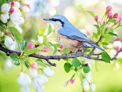 
      
      Study finds appreciating nature may have positive impact on...
      
      
