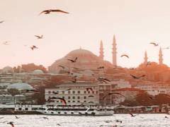 
      
      Study investigates effects of urbanisation on bird communities
      
      