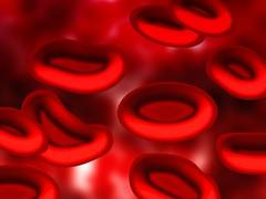 
      
      New research on blood cancer raises new treatment hopes
      
      