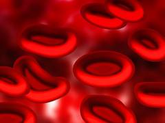 
      
      Research suggests blood cancer can be stopped by targeting...
      
      