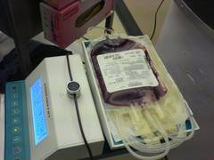 
      
      Facing an acute shortage of blood, RIMS, Ranchi appeals for...
      
      