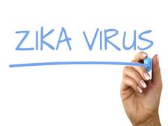 
      
      Mild Zika infection in foetuses may lead to brain...
      
      