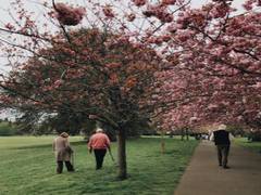 
      
      Study: Older adults found resilience during pandemic through...
      
      