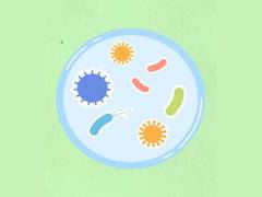 
      
      Microbial resistance is promoted by global travellers
      
      