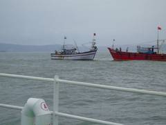 
      
      Indian Coast Guard rescues 8 people near Karwar port
      
      