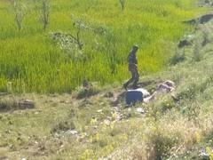 
      
      J-K: Suspicious bag found in Bhimber Gali area of Poonch
      
      
