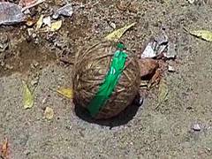 
      
      18 crude bombs found at Hindu temple in Bangladesh's Khulna
      
      