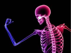
      
      Study finds bone density associated with its regular use
      
      