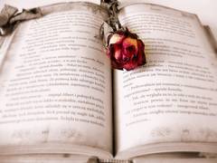 
    Study focusing on model that may protect minority languages from extinction
    