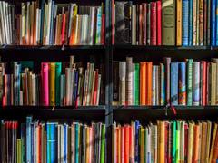 
      
      Study finds traditional media has little impact on well-being
      
      