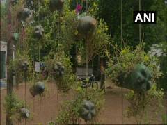 
      
      WB: Forest Range Officer creates garden using plastic...
      
      