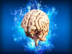 
      
      Scientists identify mechanism linking traumatic brain injury...
      
      