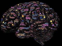 
      
      How can one say if a brain is awake?
      
      
